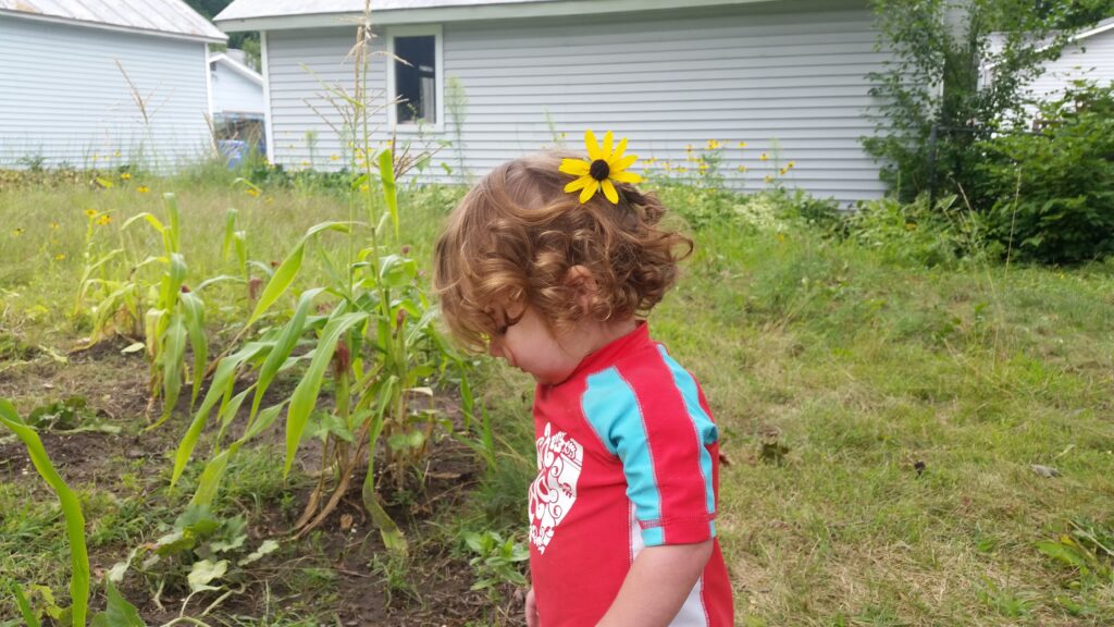 a curly haired toddler with a flower in his hair stands in a corn, beans, and squash garden